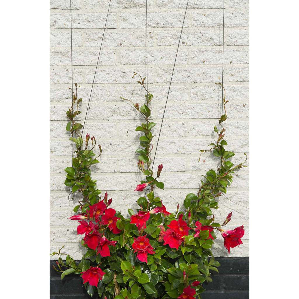 Nature Wire Trellis Set For Climbing Plants 6040760