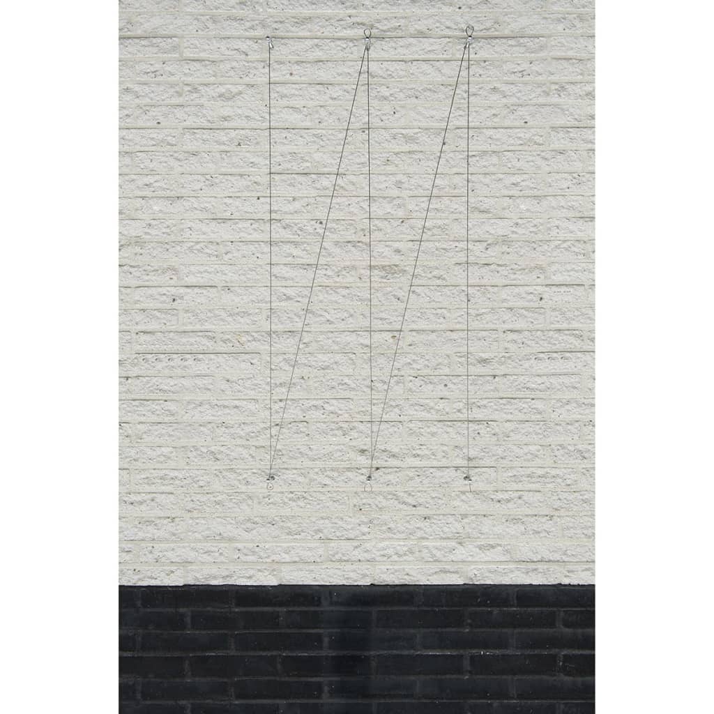 Nature Wire Trellis Set For Climbing Plants 6040760