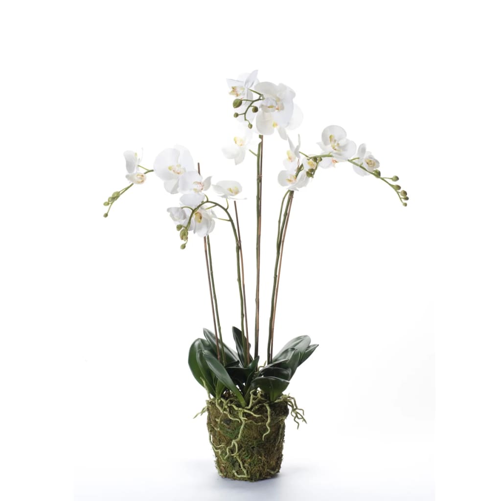 Emerald Artificial Phalaenopsis With Moss White 90 Cm 20.355