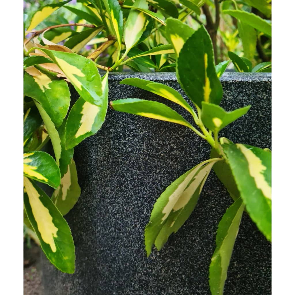 Capi Egg Planter Waste Smooth Grey