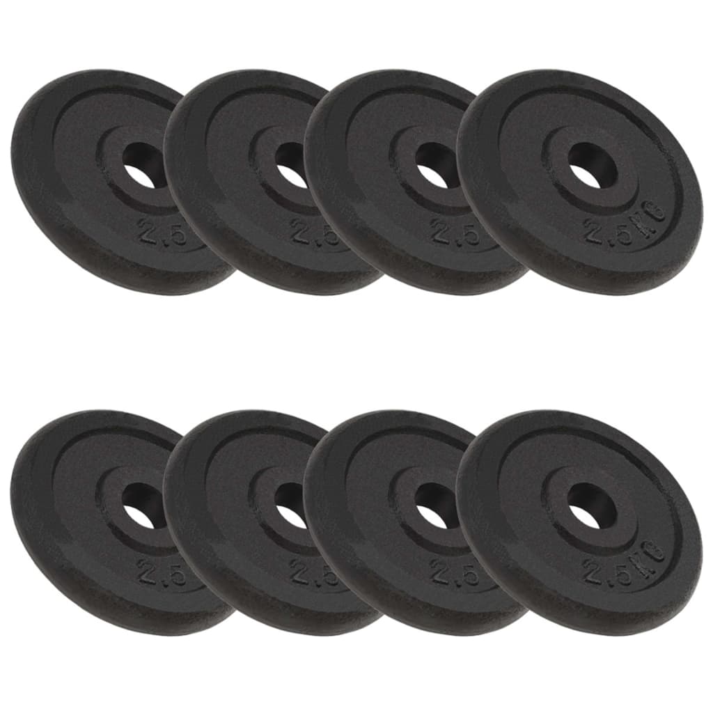 Weight Plates 8 Pcs Cast Iron