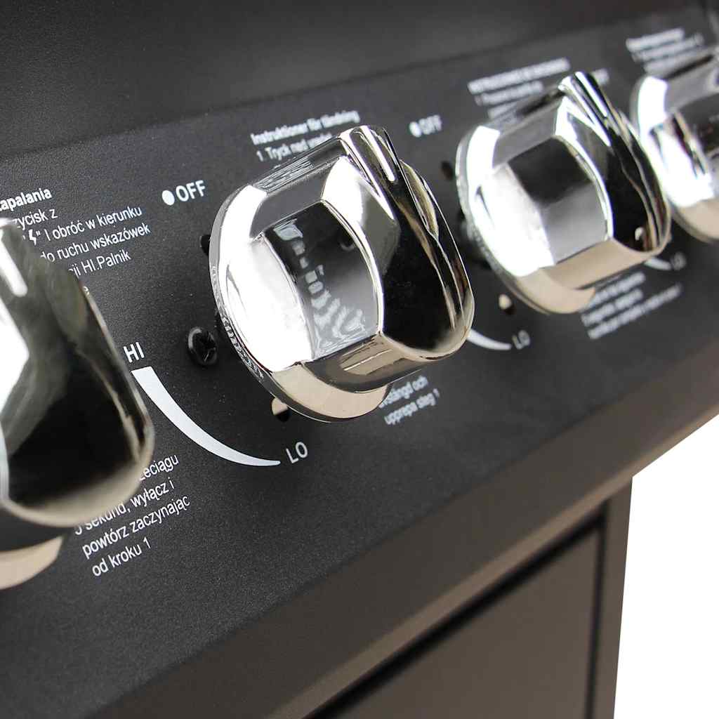 Gas Barbecue Grill 4+1 Cooking Zone