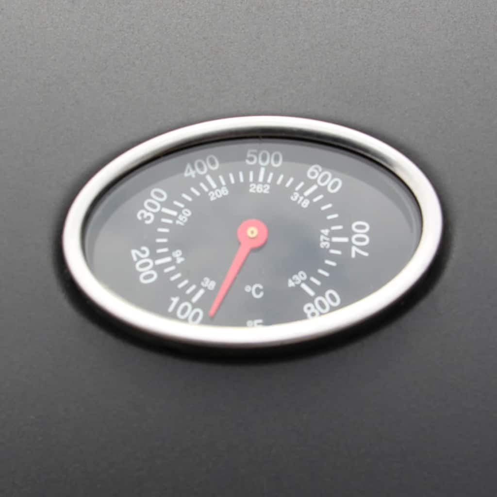 Gas Barbecue Grill 4+1 Cooking Zone