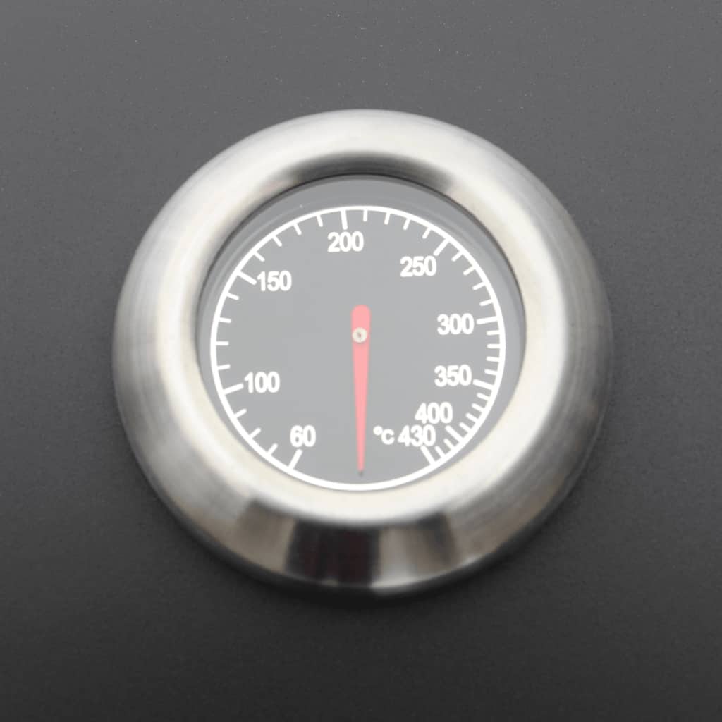 Gas Barbecue Grill 6+1 Cooking Zone