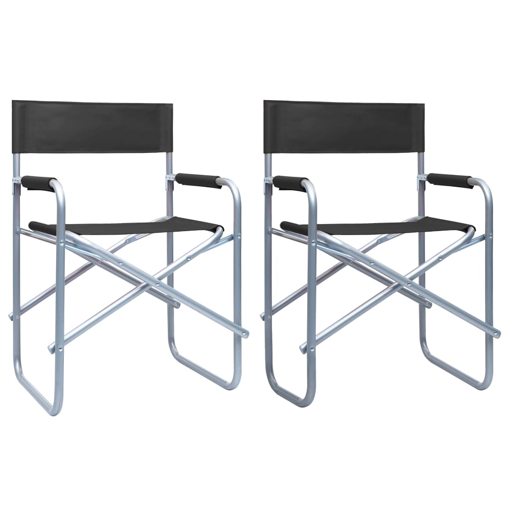 Director's Chairs 2 Pcs Steel