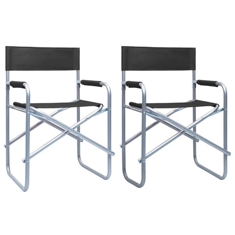 Director's Chairs 2 Pcs Steel