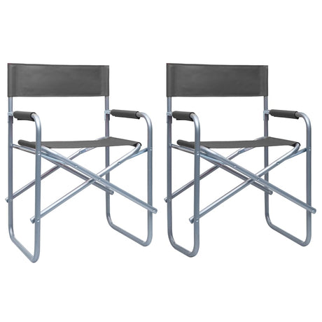 Director's Chairs 2 Pcs Steel