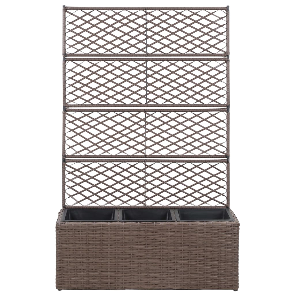 Trellis Raised Bed With 3 Pots Poly Rattan