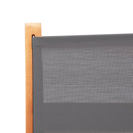 Folding Garden Chairs 2 Pcs Solid Eucalyptus Wood And Textilene