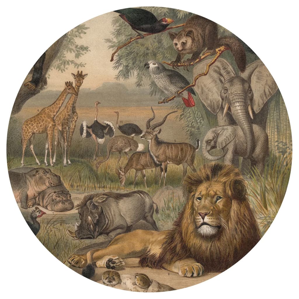 Wallart Wallpaper Circle Animals Of Africa 142.5 Cm