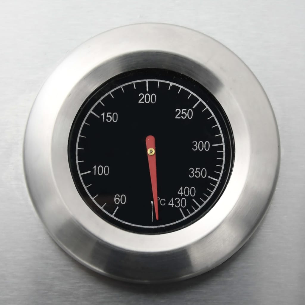 Gas Barbecue Grill 4+1 Cooking Zone Stainless Steel