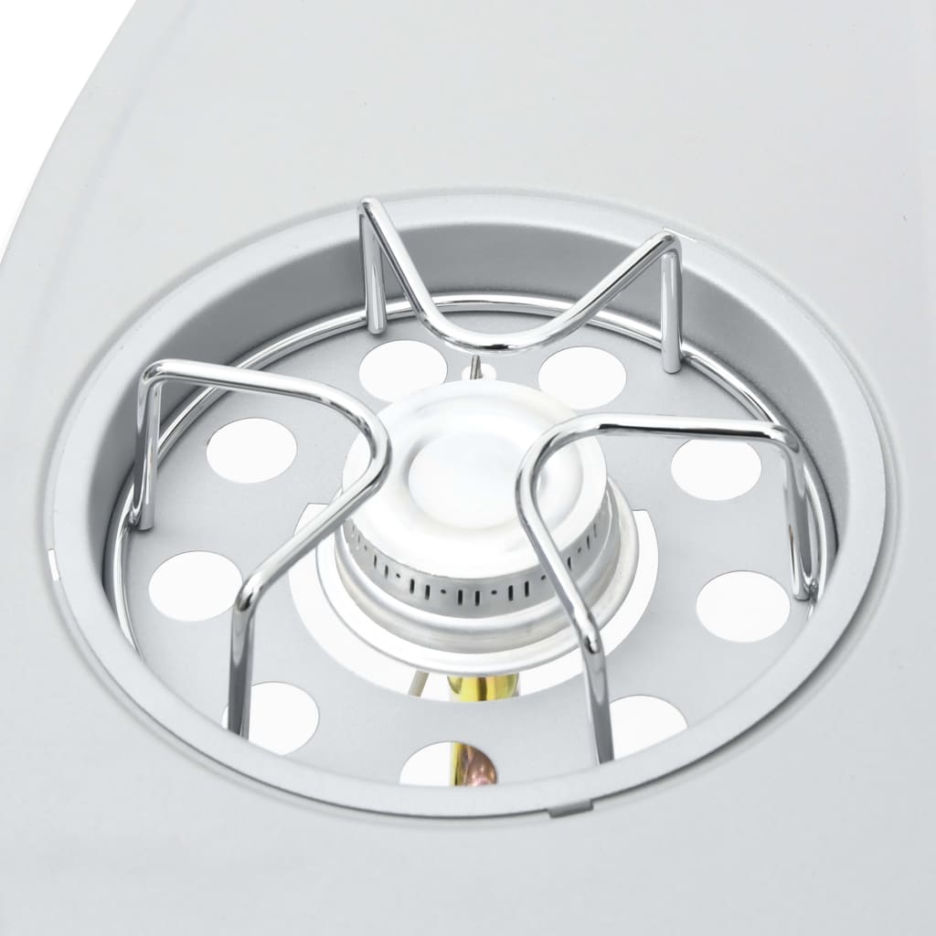 Gas Barbecue Grill 4+1 Cooking Zone Stainless Steel