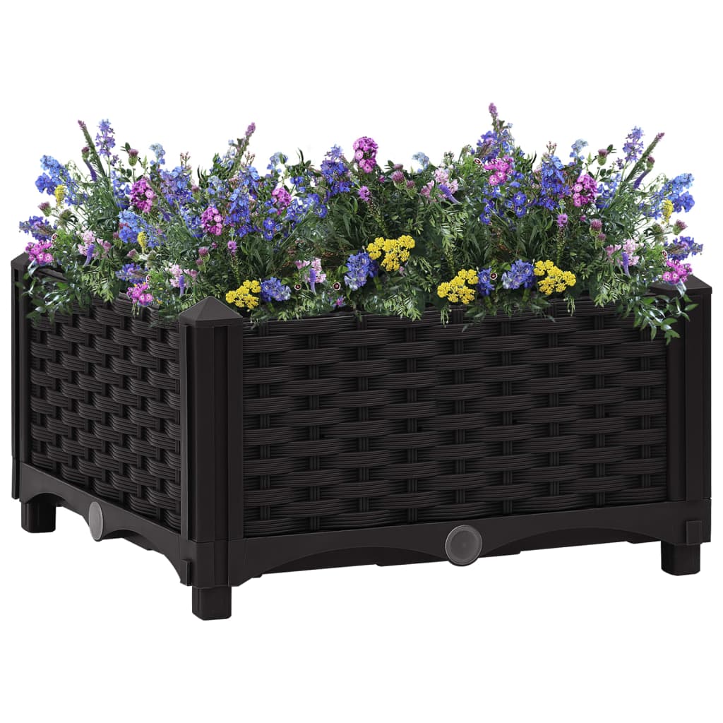 Raised Bed Polypropylene