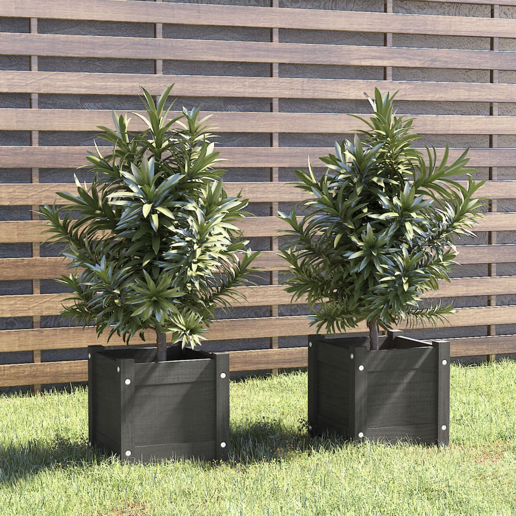 Garden Planters 2 Pcs 31X31X31 Cm Solid Pinewood