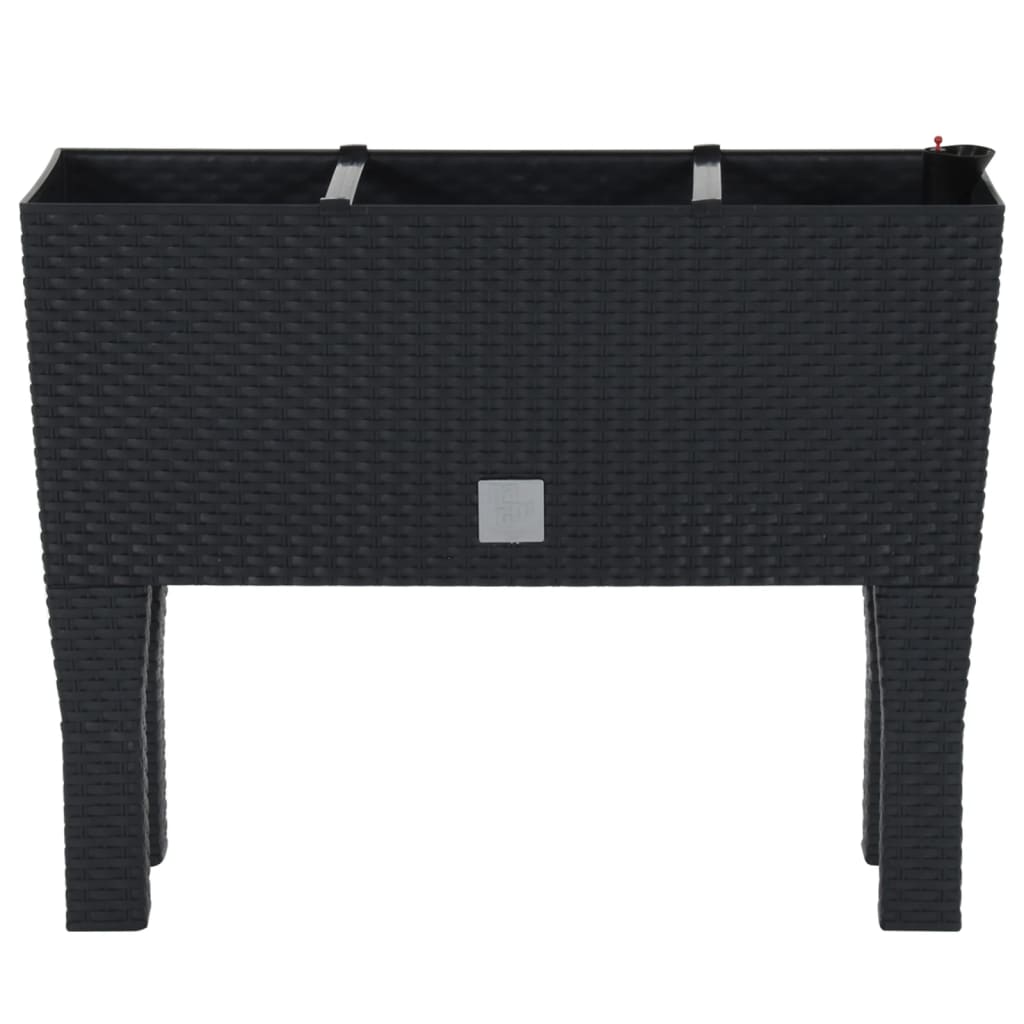 Raised Garden Bed Anthracite 60X25X46 Cm Pp Rattan