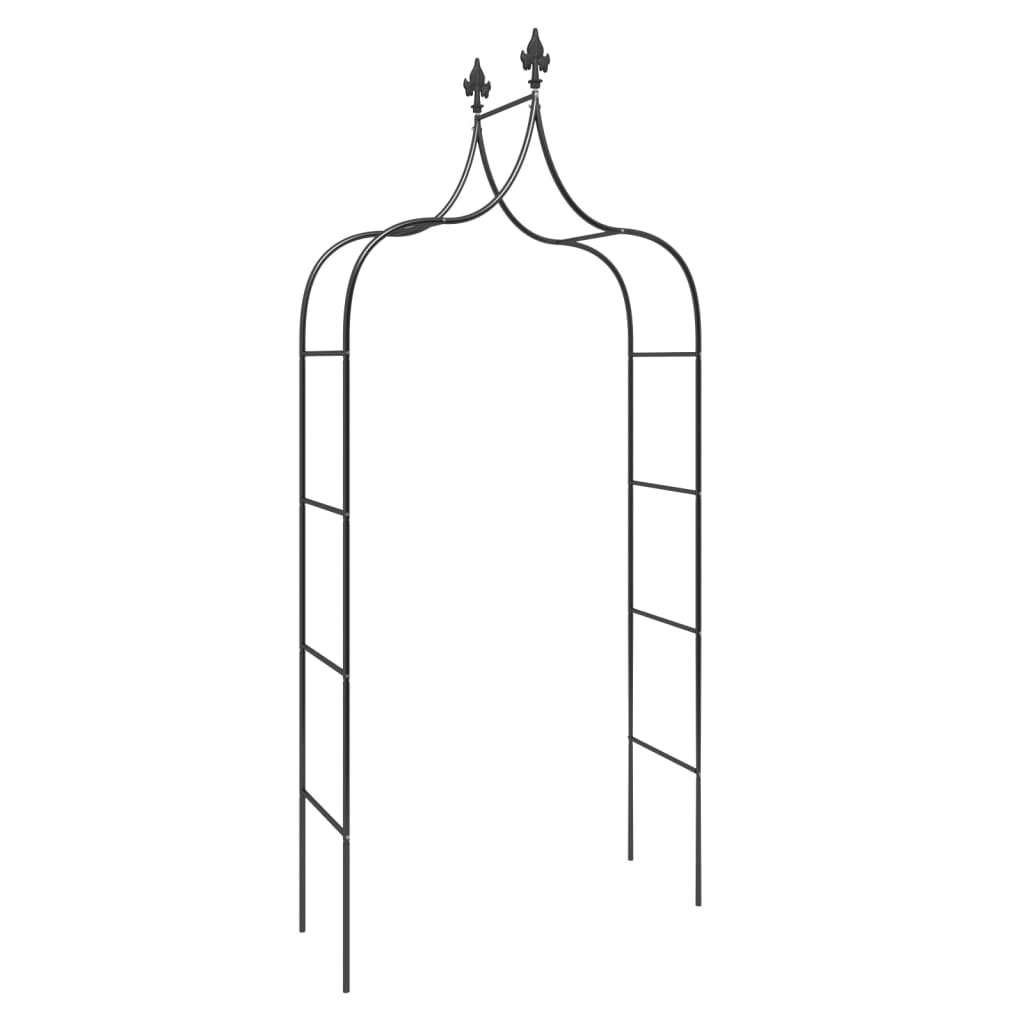 Garden Arches 2 Pcs Black 120X38X260 Cm Steel