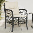 Garden Chairs With Cushions 2 Pcs Poly Rattan