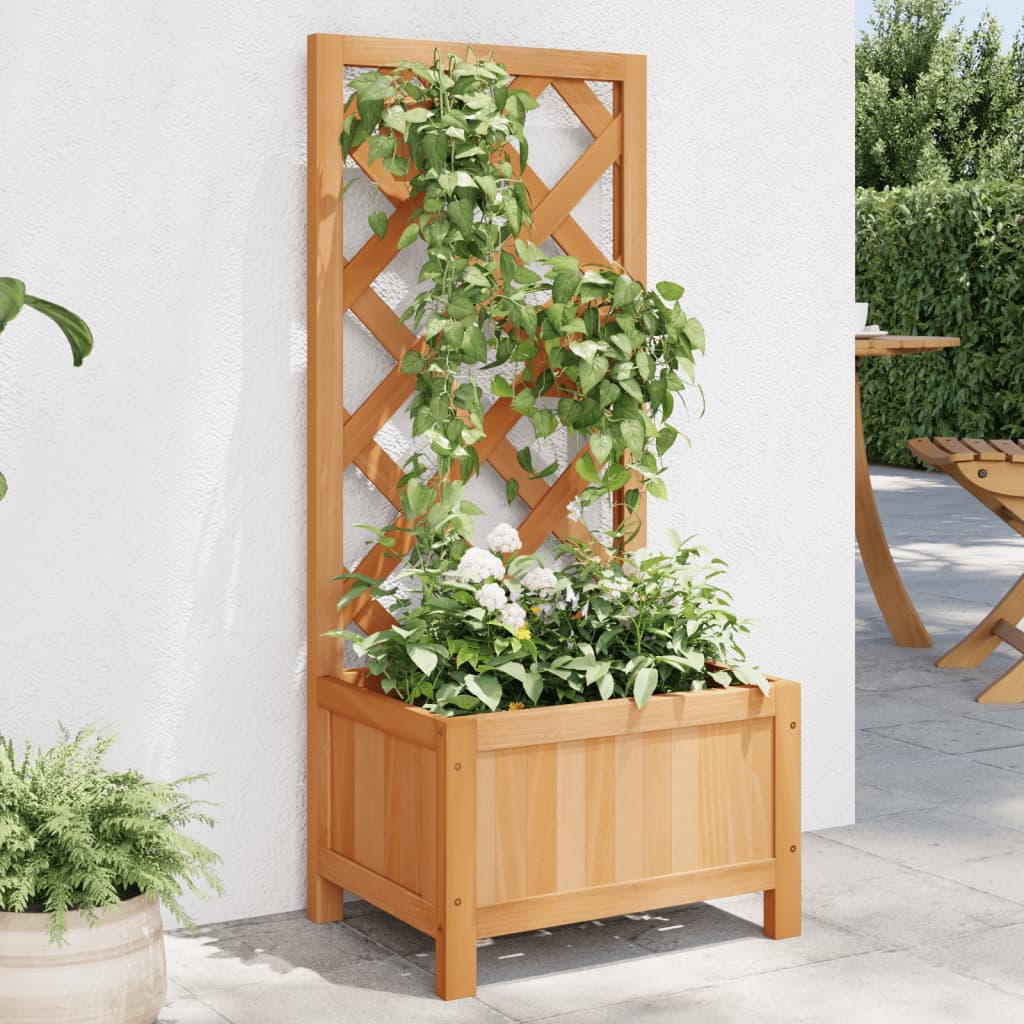 Trellis Planter