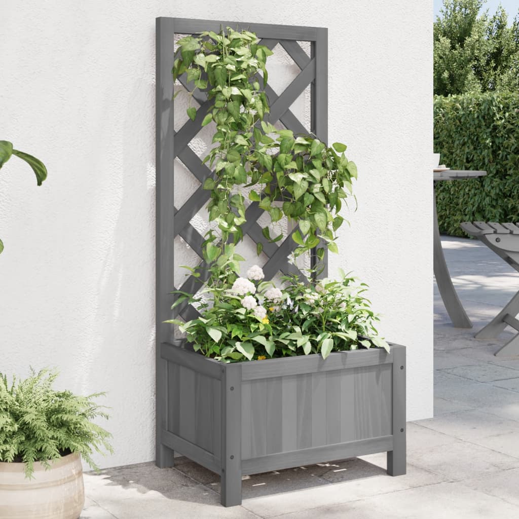 Trellis Planter