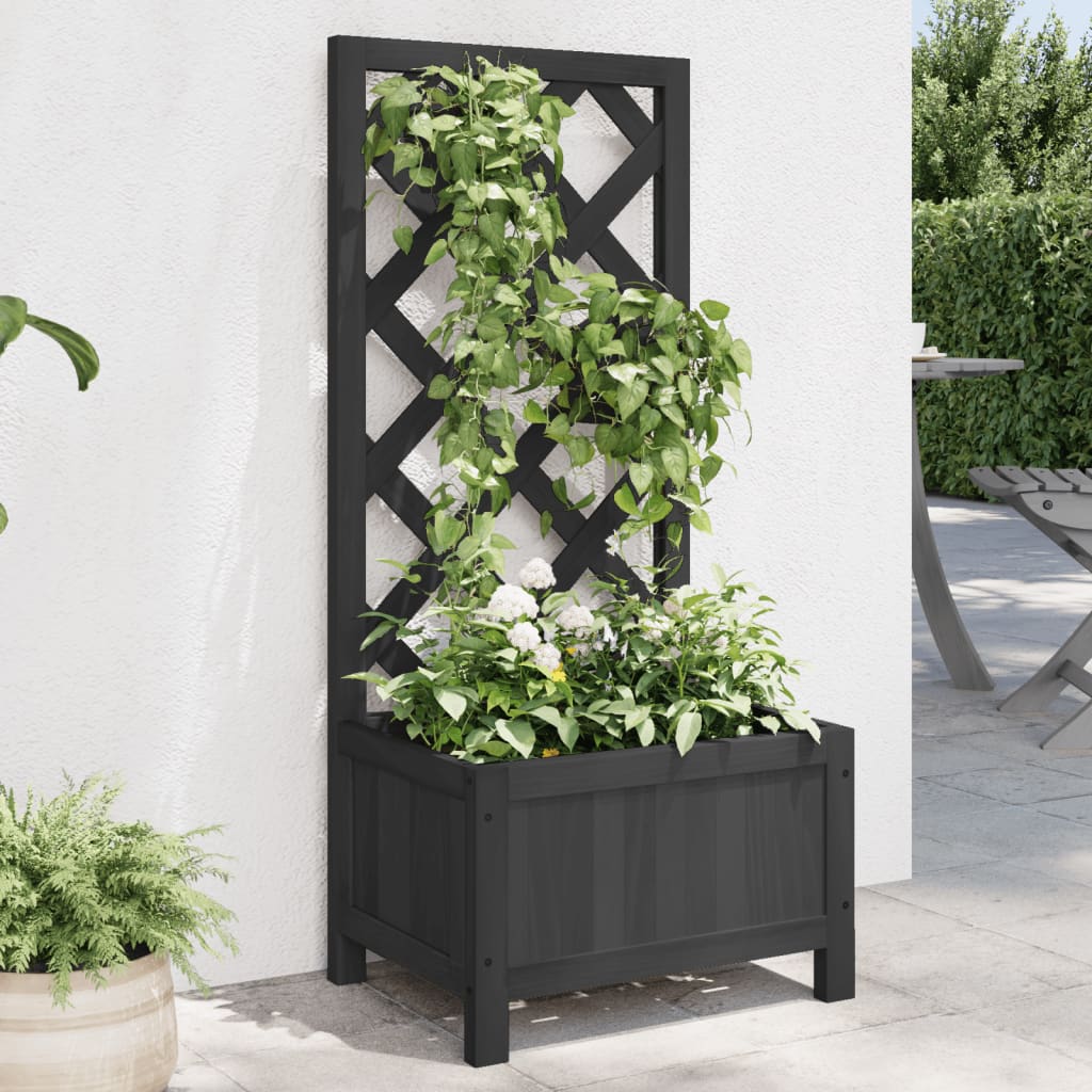 Trellis Planter