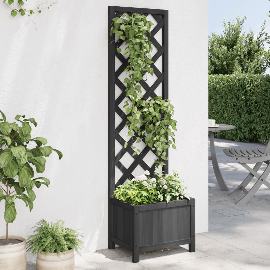 Trellis Planter