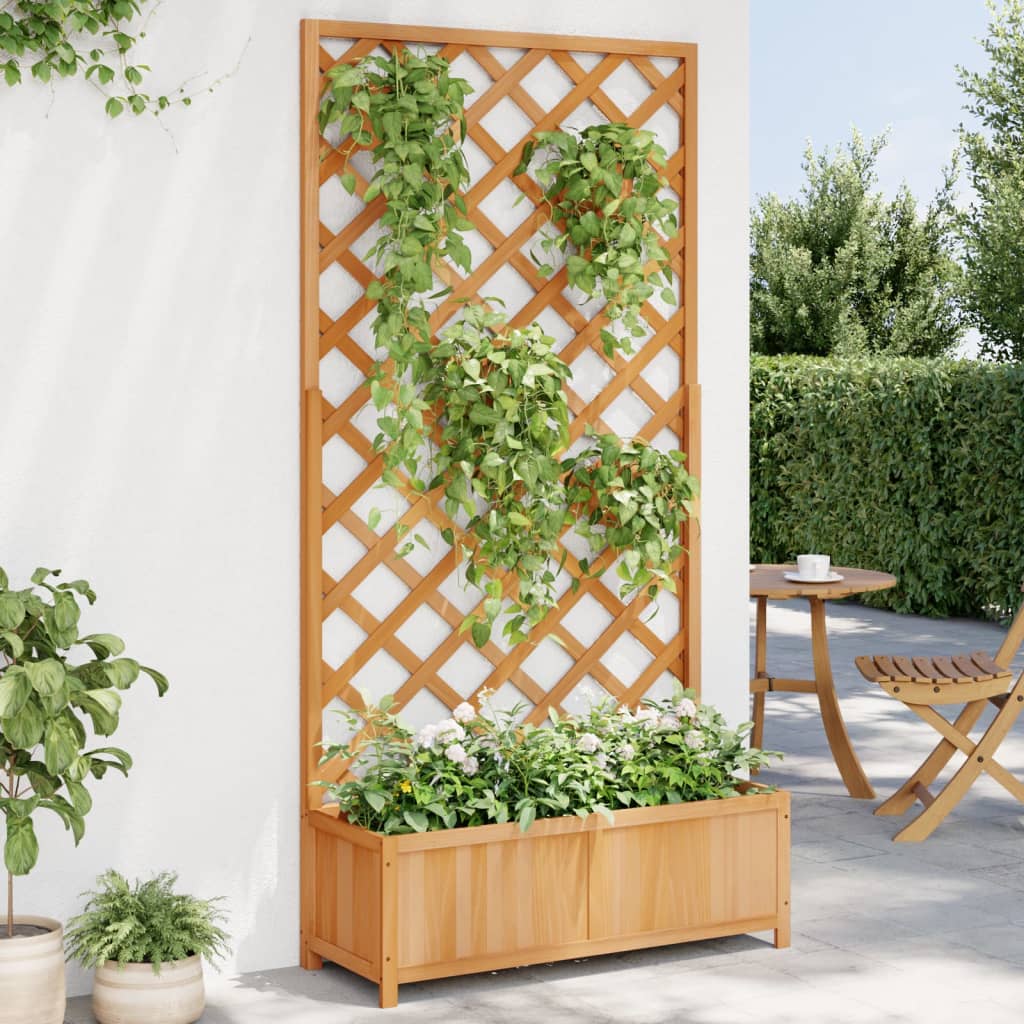 Trellis Planter