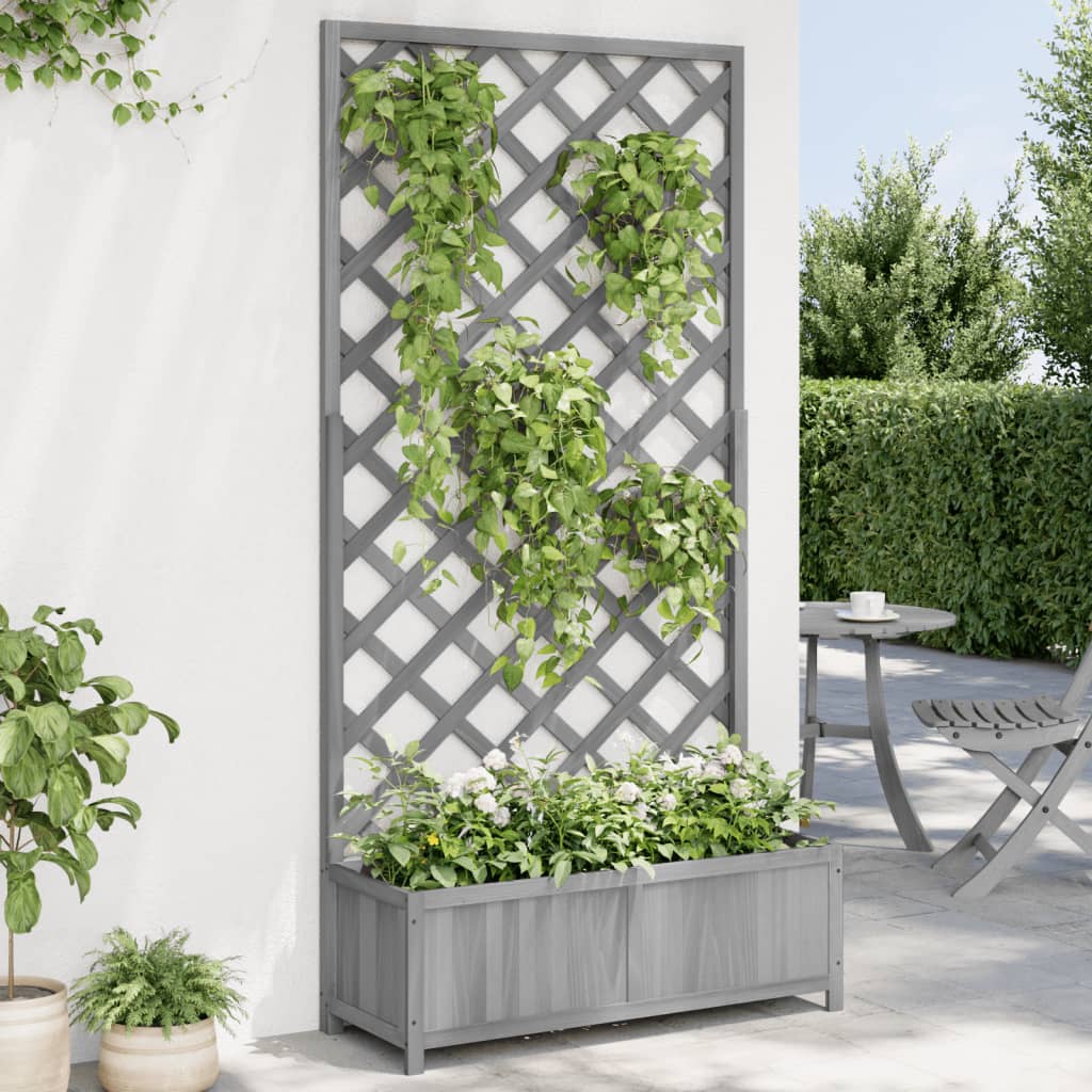 Trellis Planter