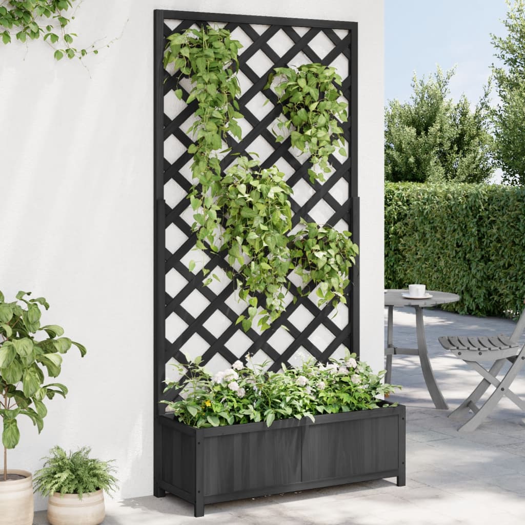 Trellis Planter