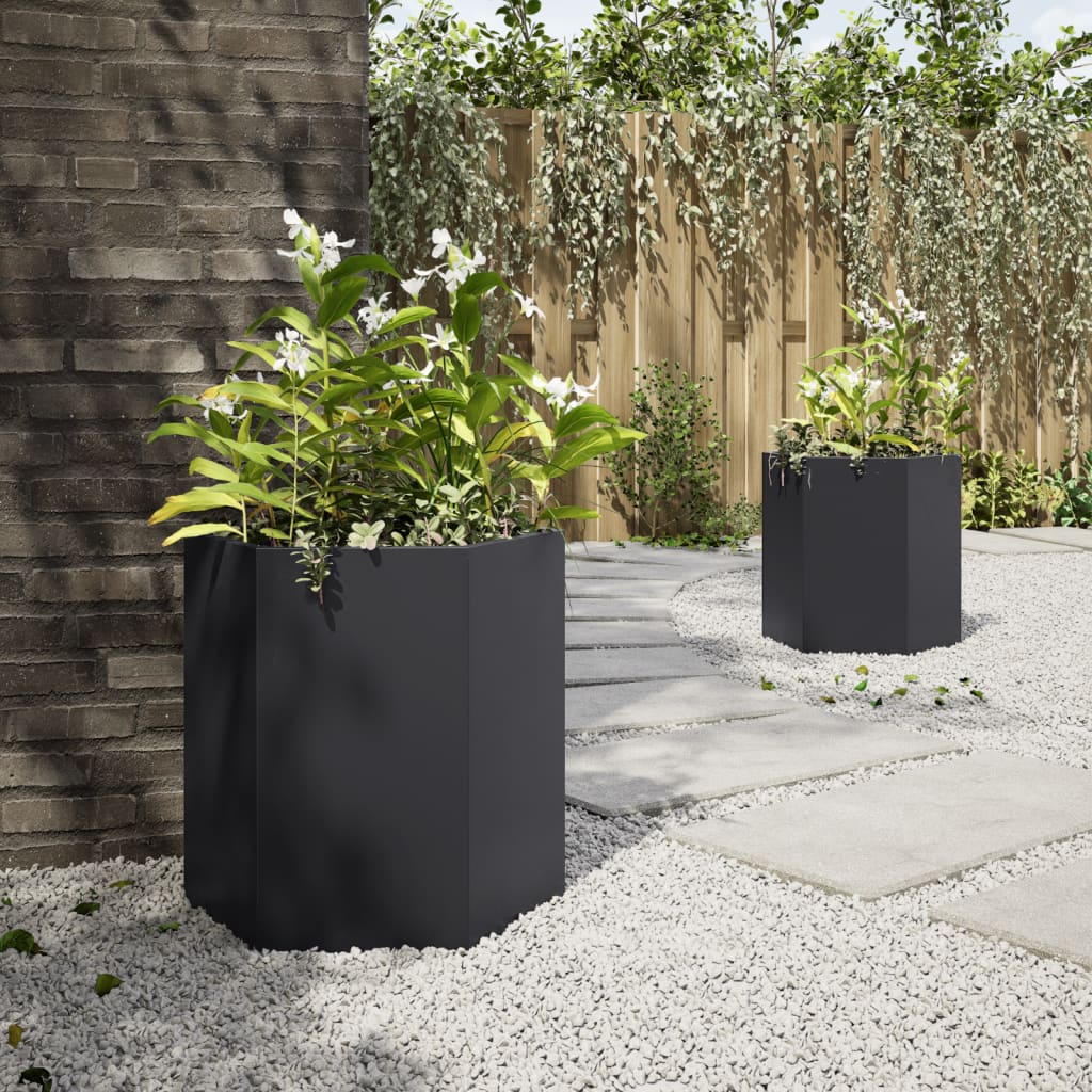 Garden Planter 2 Pcs Black Hexagon Steel