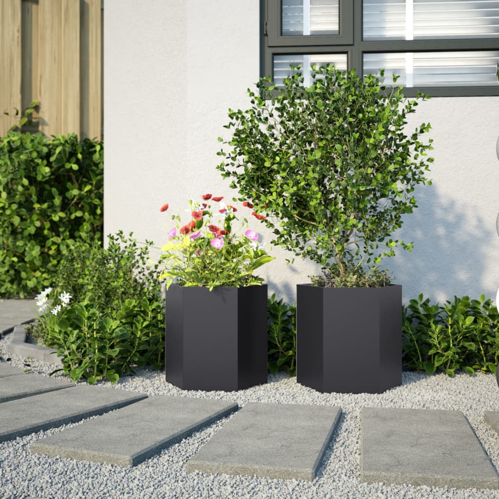 Garden Planter 2 Pcs Black Hexagon Steel