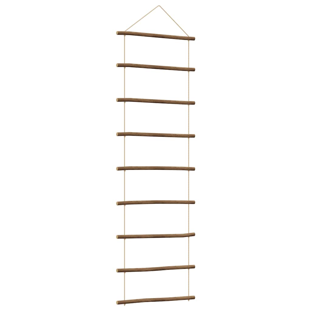 Wall Decoration Ladder-Shaped Natural Branch