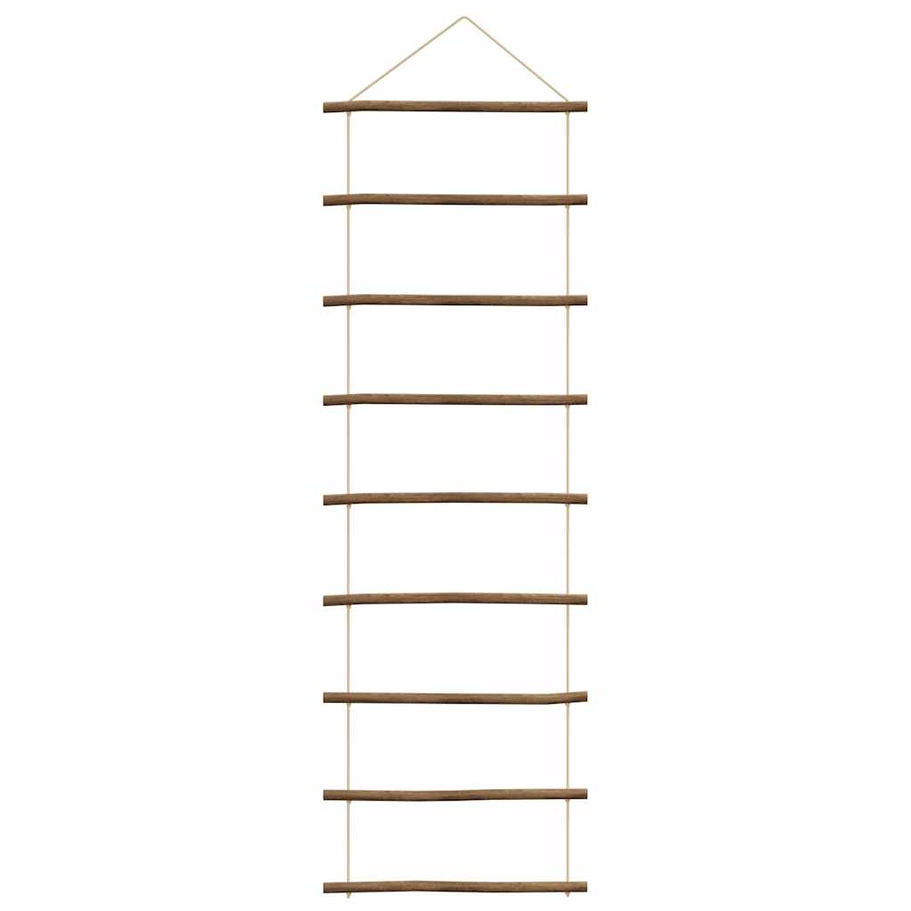 Wall Decoration Ladder-Shaped Natural Branch
