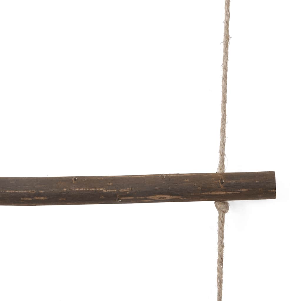 Wall Decoration Ladder-Shaped Natural Branch