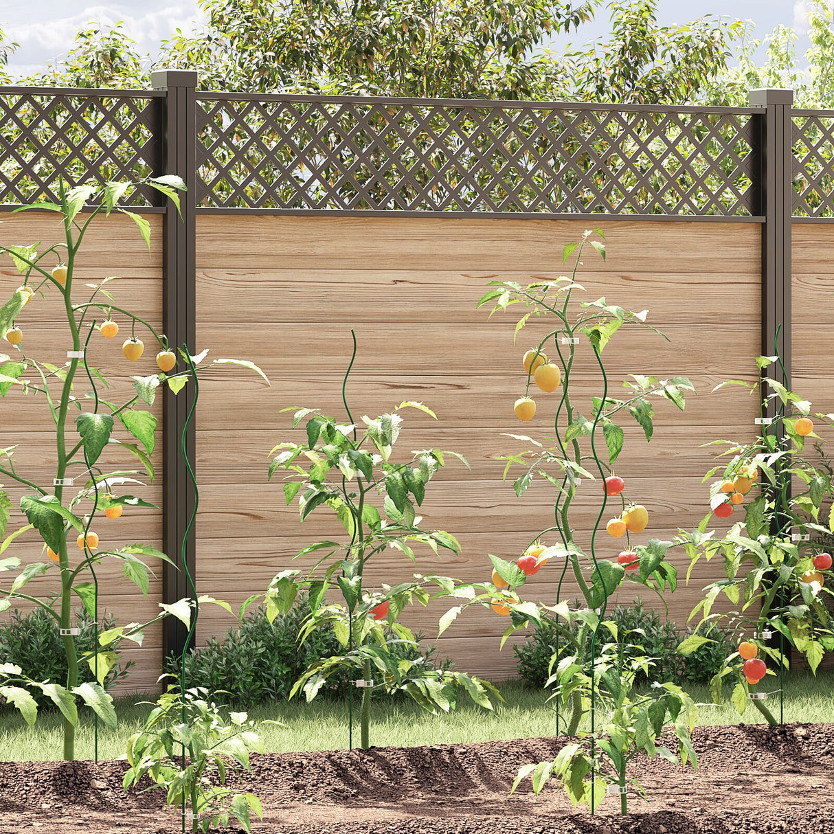 Spiral Plant Supports 20 Pcs 110 Cm Steel