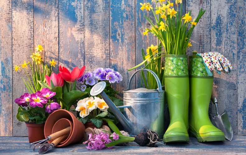 How to get your garden ready for spring