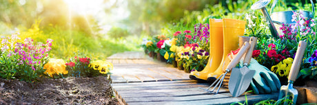 Create a Vibrant Spring Garden: Easy Prep Guide