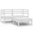 3 Piece Garden Lounge Set Solid Pinewood White