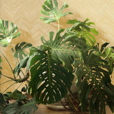 Noordwand Wallpaper Topchic Herringbone