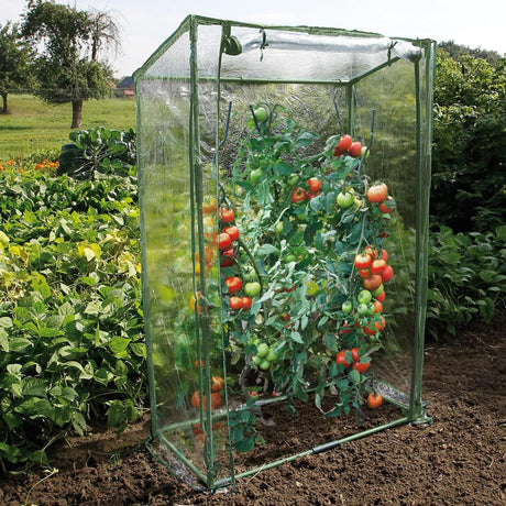 Nature Tomato Greenhouse