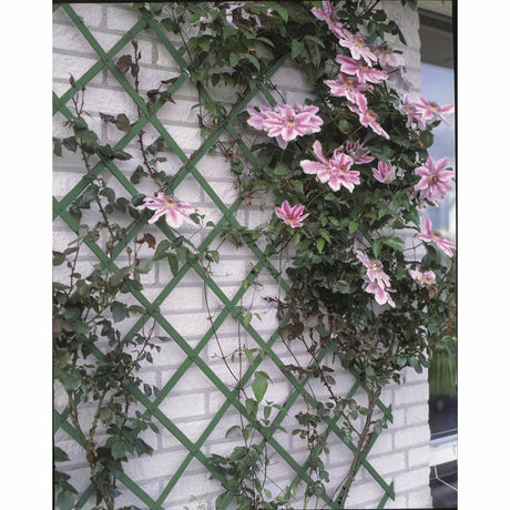 Nature Garden Trellis Pvc 6040702
