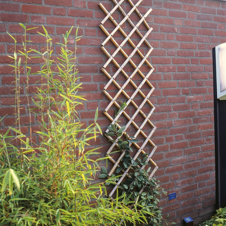 Nature Garden Trellis Bamboo 6040720