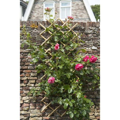 Nature Garden Trellis Bamboo 6040720