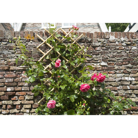 Nature Garden Trellis Bamboo 6040720