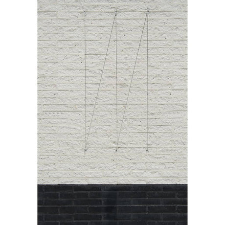 Nature Wire Trellis Set For Climbing Plants 6040760