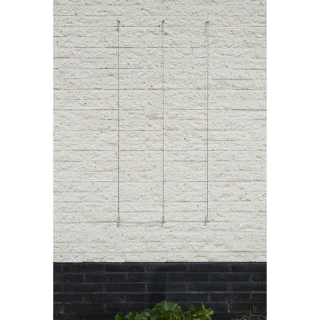 Nature Wire Trellis Set For Climbing Plants 6040760