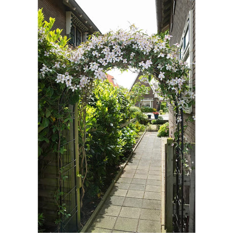 Nature Garden Arch Metal Black