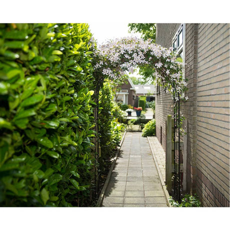 Nature Garden Arch Metal Black