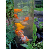 Ubbink Fish Tower Acrylic 1372161