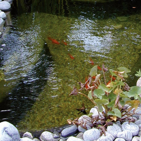 Ubbink Pond Gravel 15 Kg 4-6 Mm 1373126