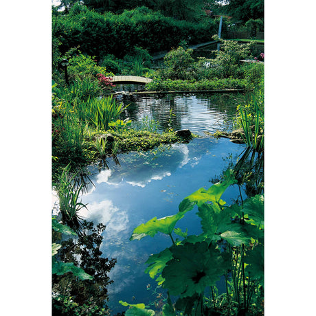 Ubbink Natural Pond Filter Material Lava Volcanic Stone 16-32Mm 10L